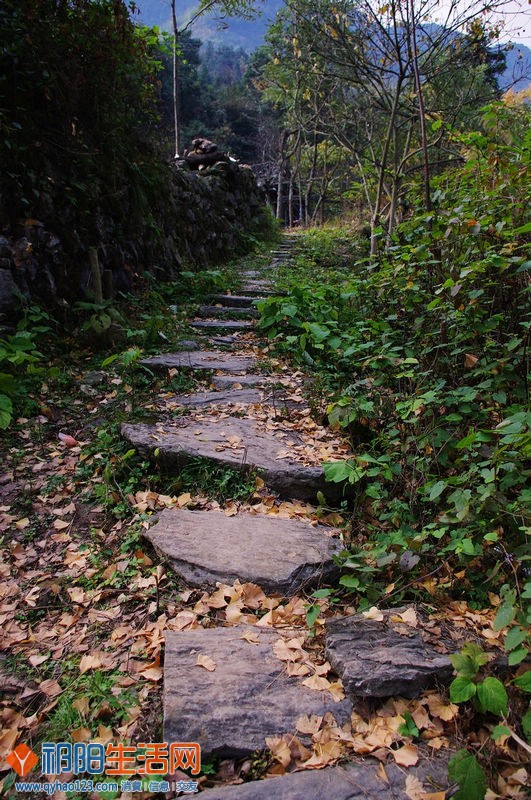 IMGP1731.jpg