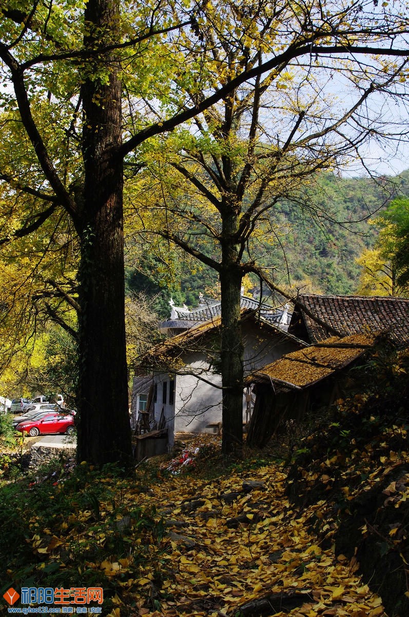 IMGP1619_光影_1.jpg
