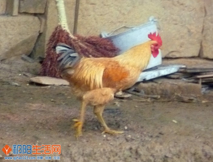 P1060880_副本.jpg