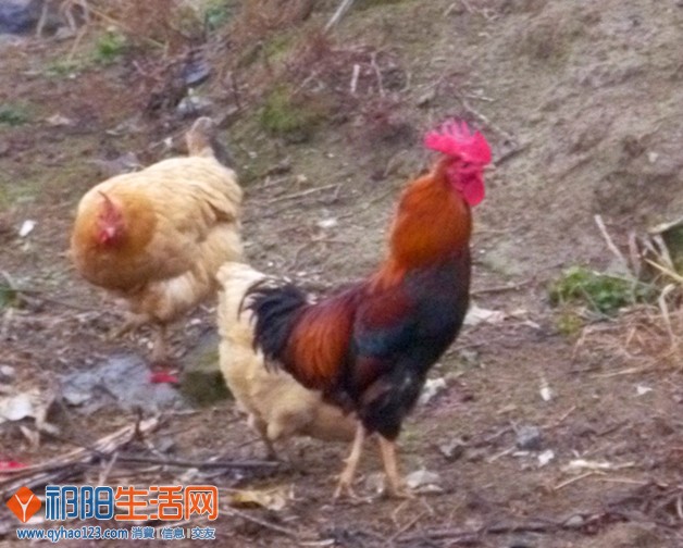 P1060895_副本.jpg