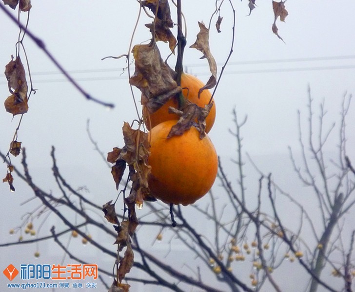 P1060976_副本.jpg