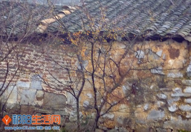 P1070038_副本.jpg