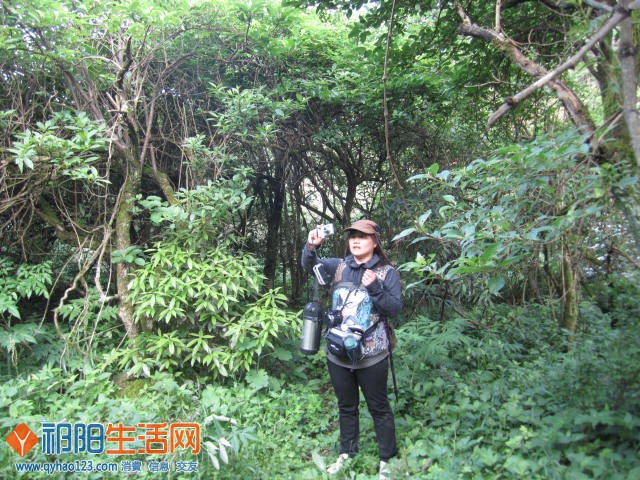 照片 499.jpg