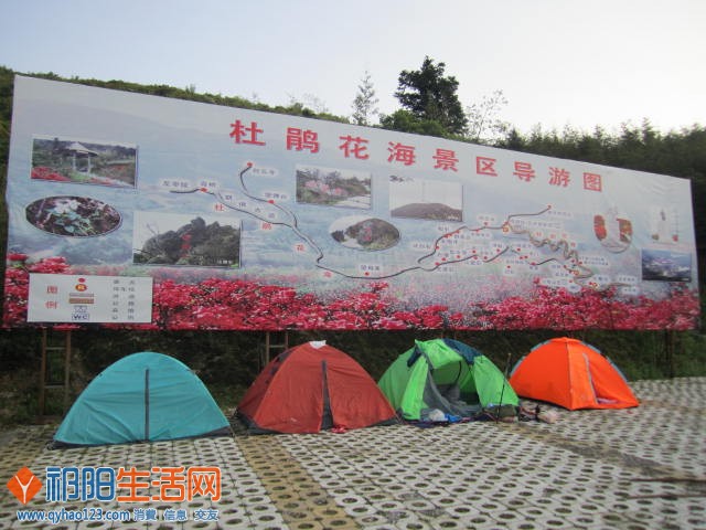照片 701.jpg