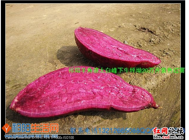 QQ截图20020102220541.png