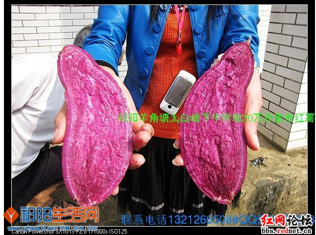 QQ截图20020102220549.png