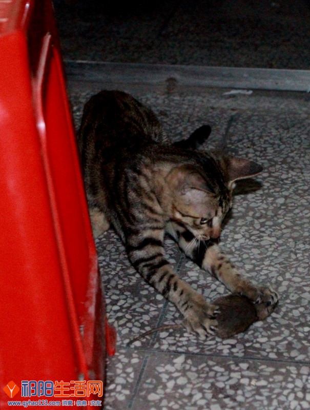 02.jpg