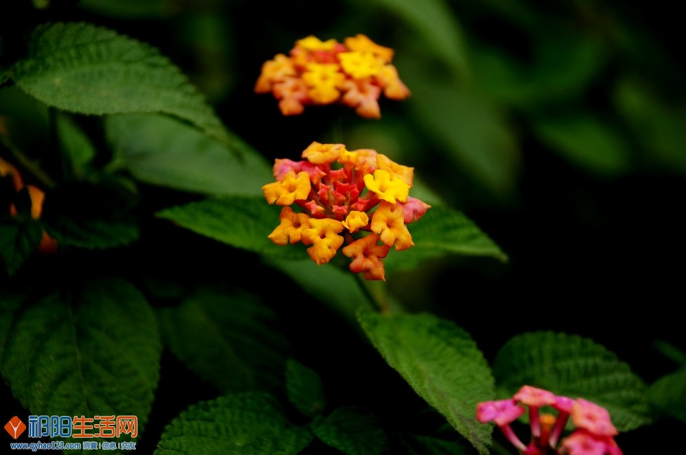 DSC_0128.jpg