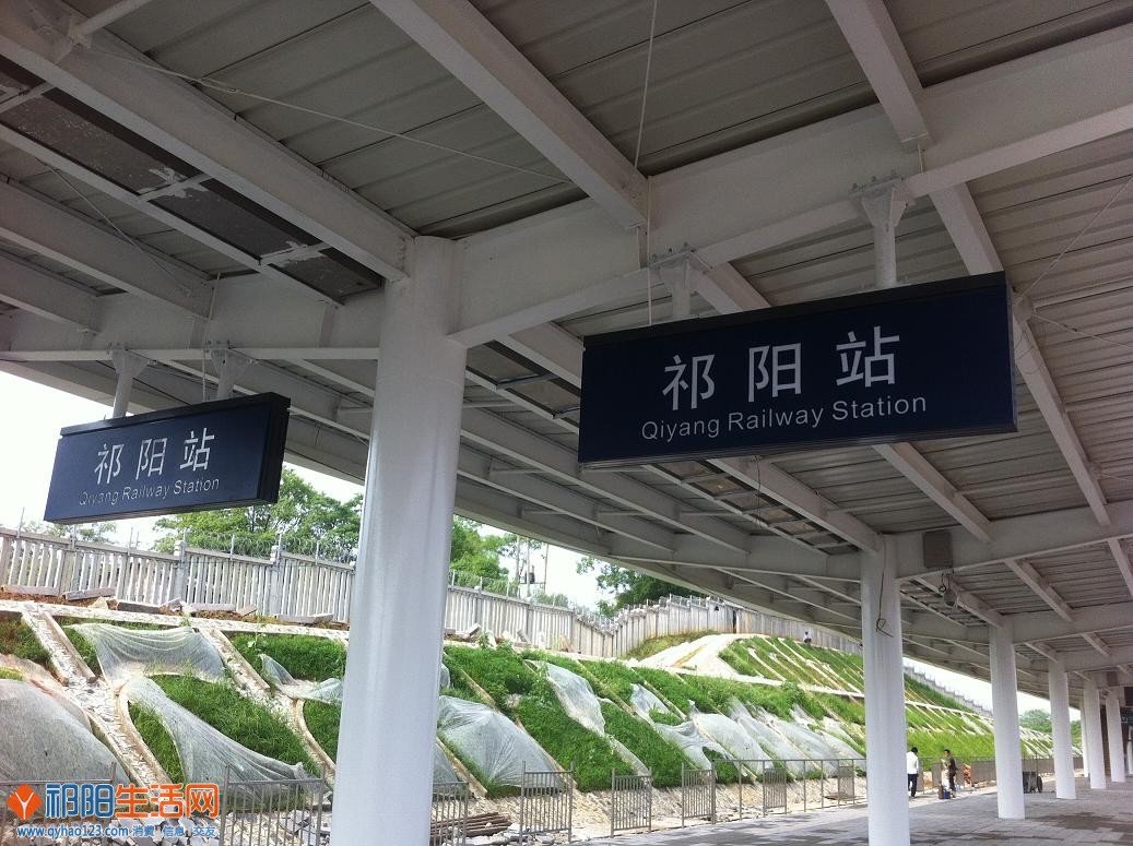 照片 013.jpg
