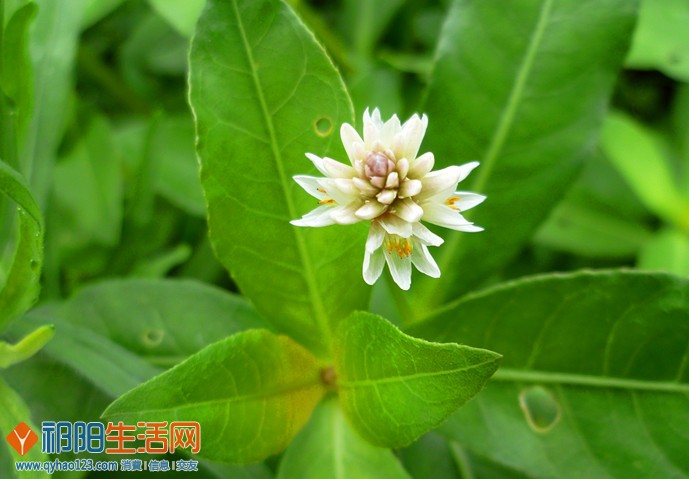 P1150920_副本.jpg