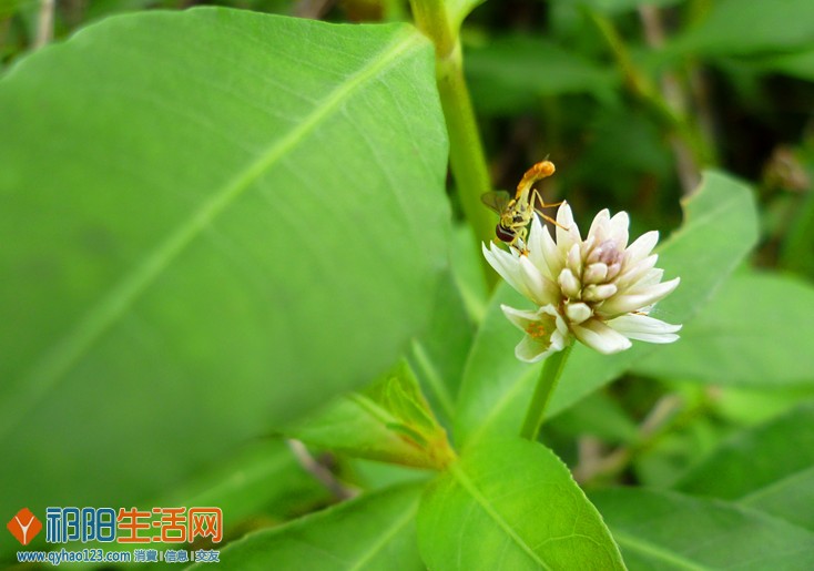 P1150928_副本.jpg