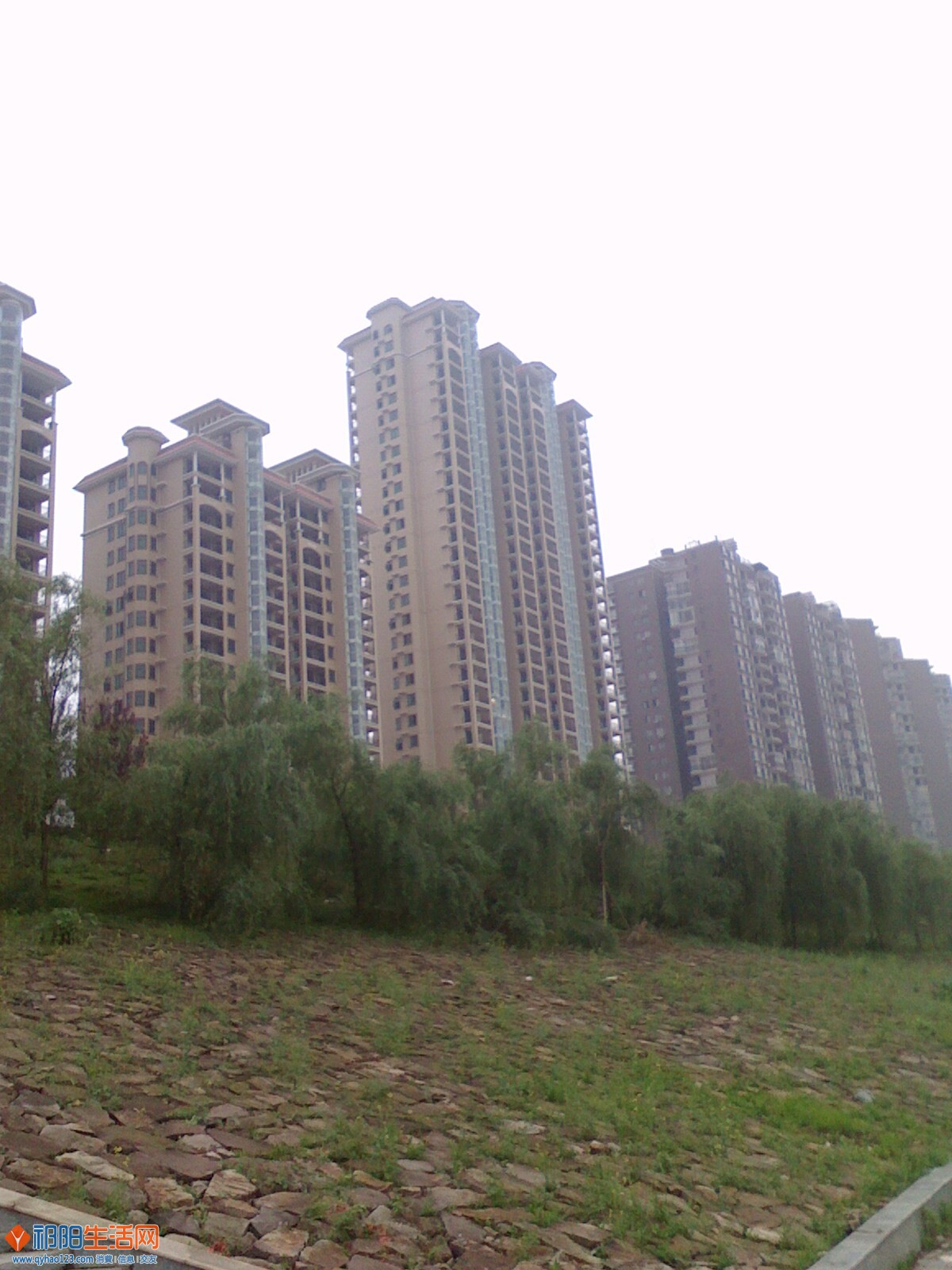 IMG0430181900.jpg