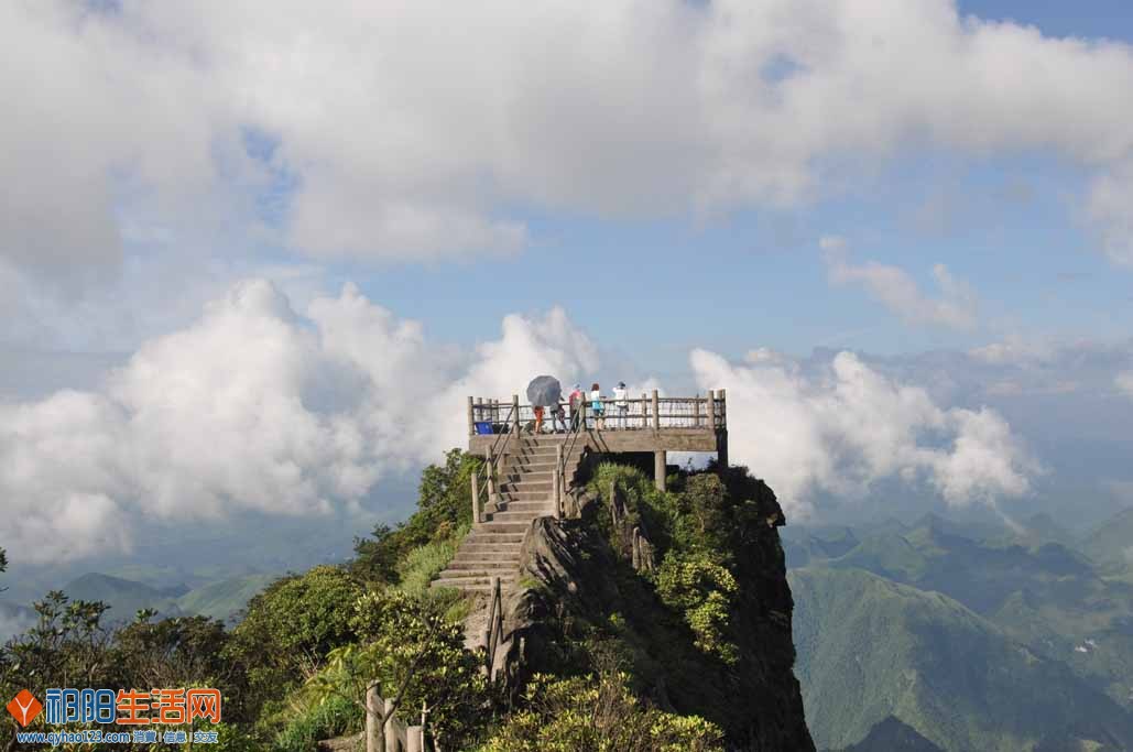 照片 261.jpg