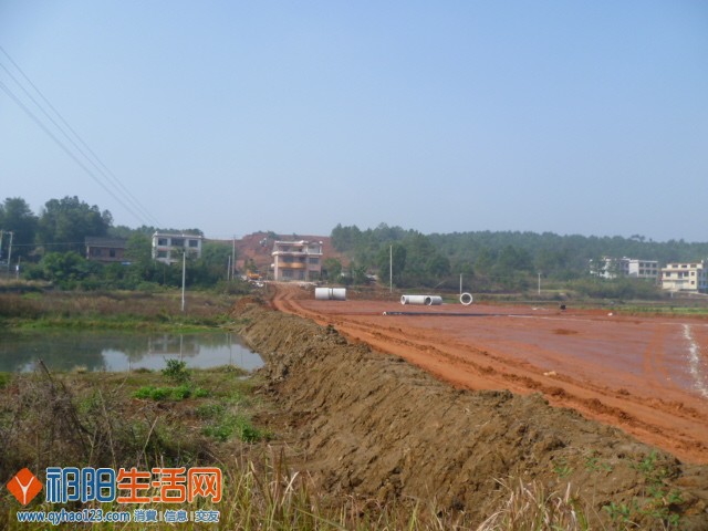 P1180649.JPG