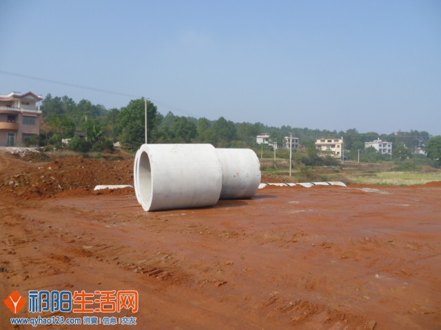 P1180654.JPG