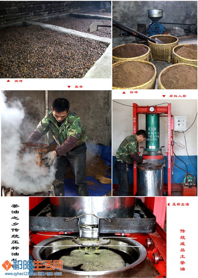老表的表压榨茶油.jpg