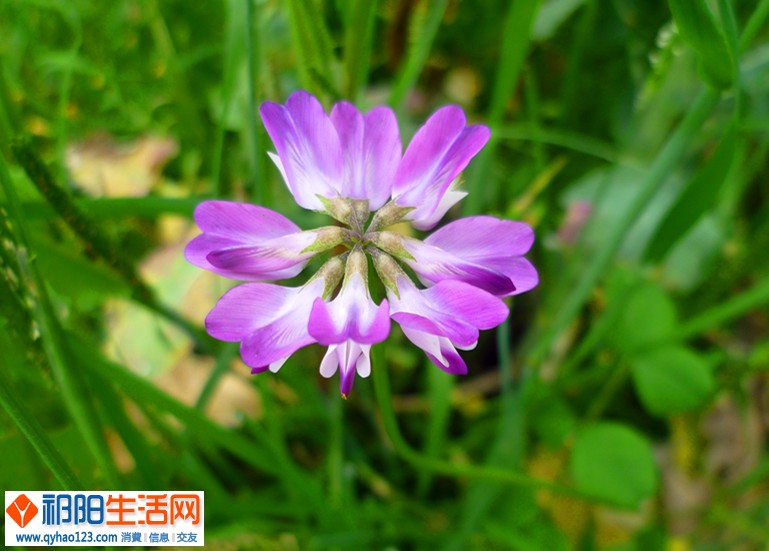 P1190858_副本.jpg