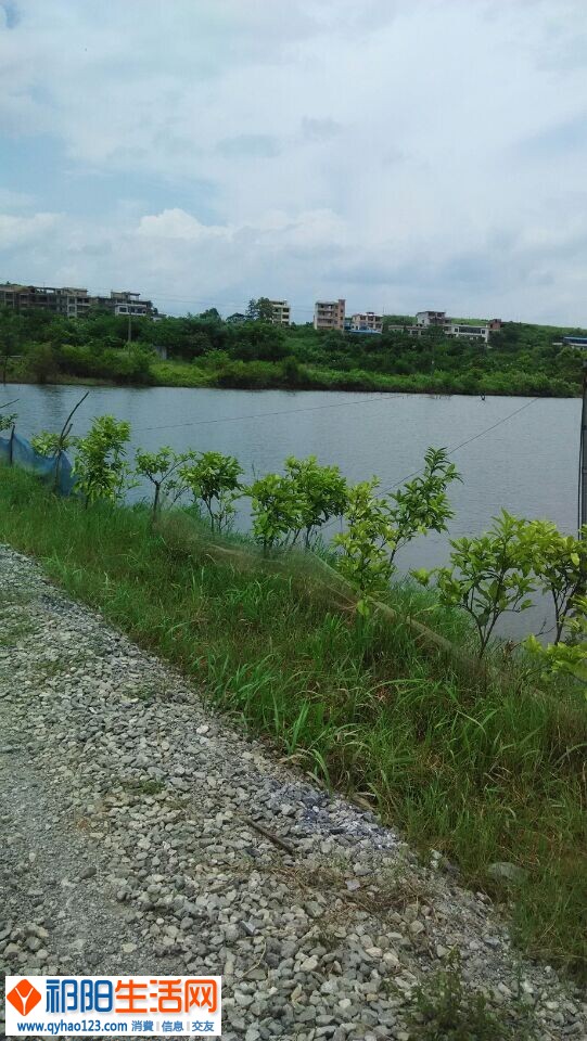 QQ图片20140702201335.jpg