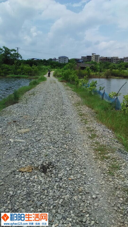 QQ图片20140702201341.jpg
