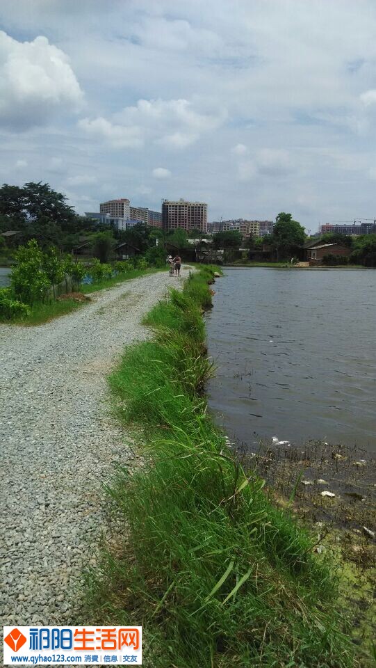 QQ图片20140702201348.jpg