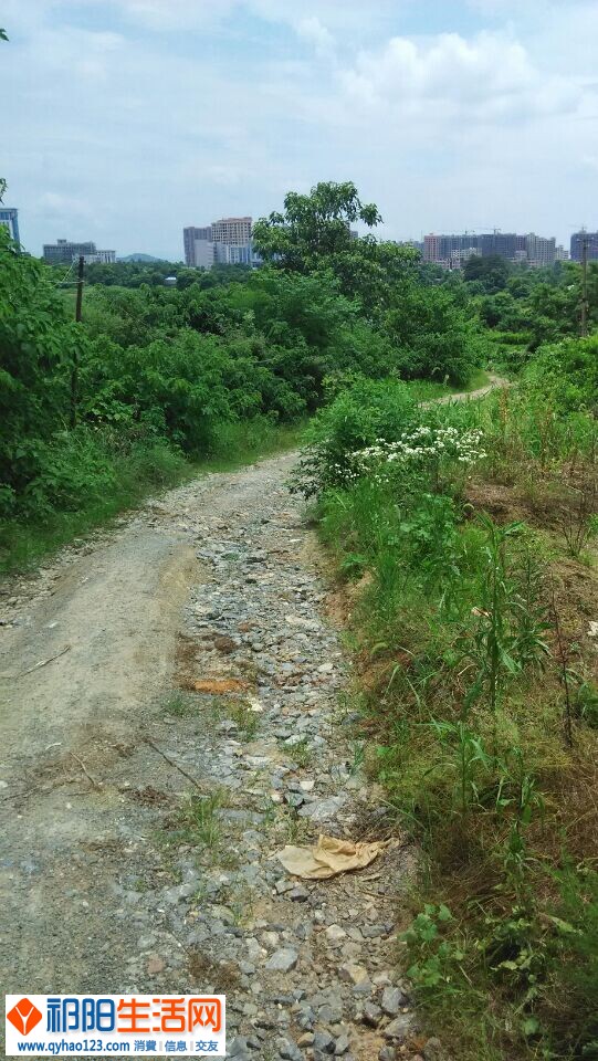 QQ图片20140702201359.jpg