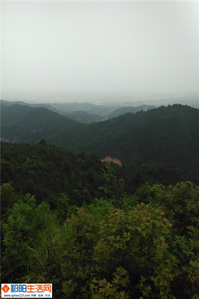 IMG_20140727_145323.jpg
