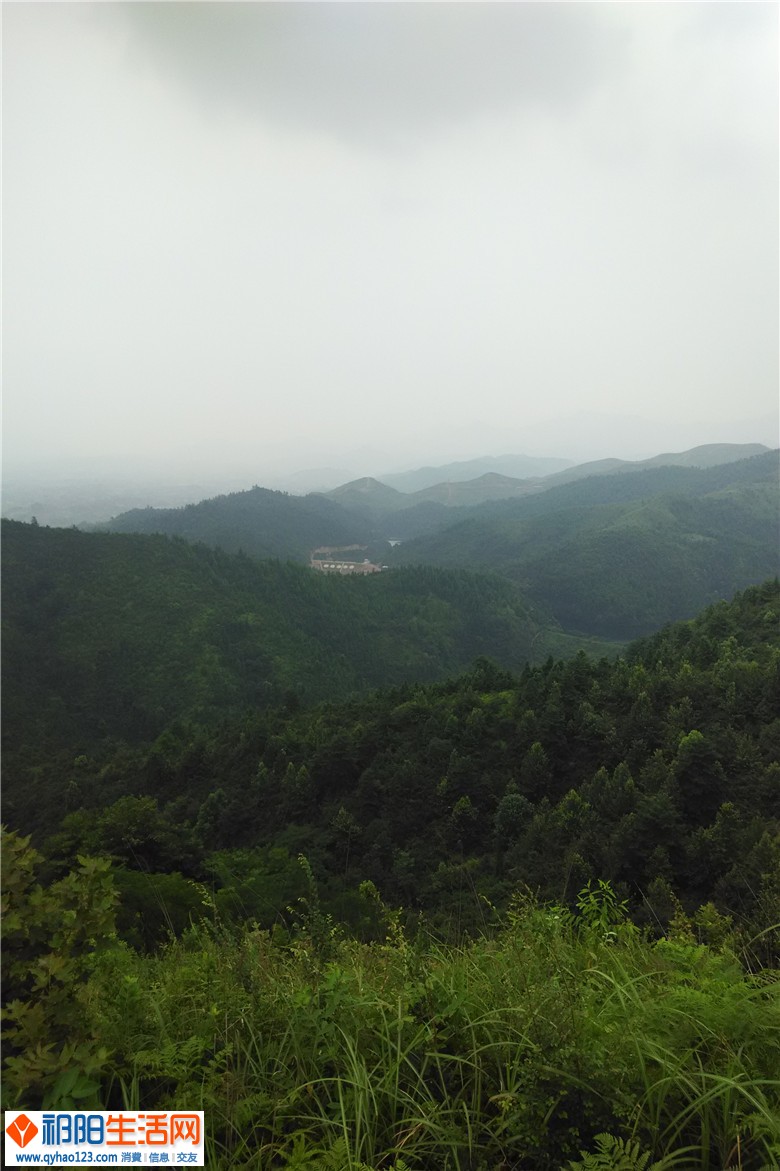 IMG_20140727_145330.jpg