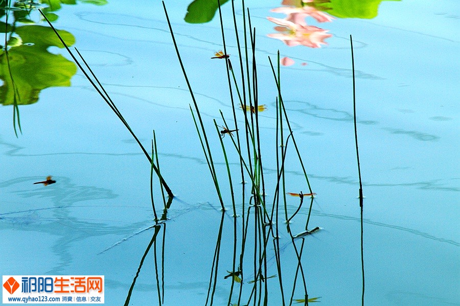 118_副本.jpg