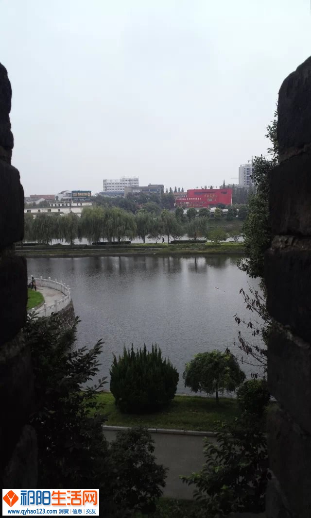 psb (9).jpg