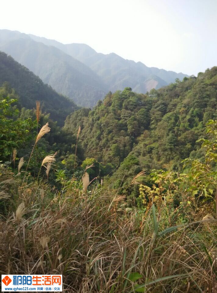 QQ图片20141023195610.jpg