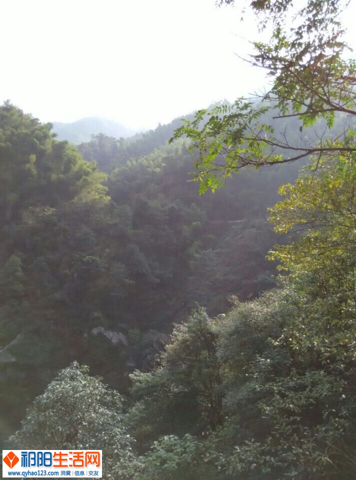 QQ图片20141023195649.jpg