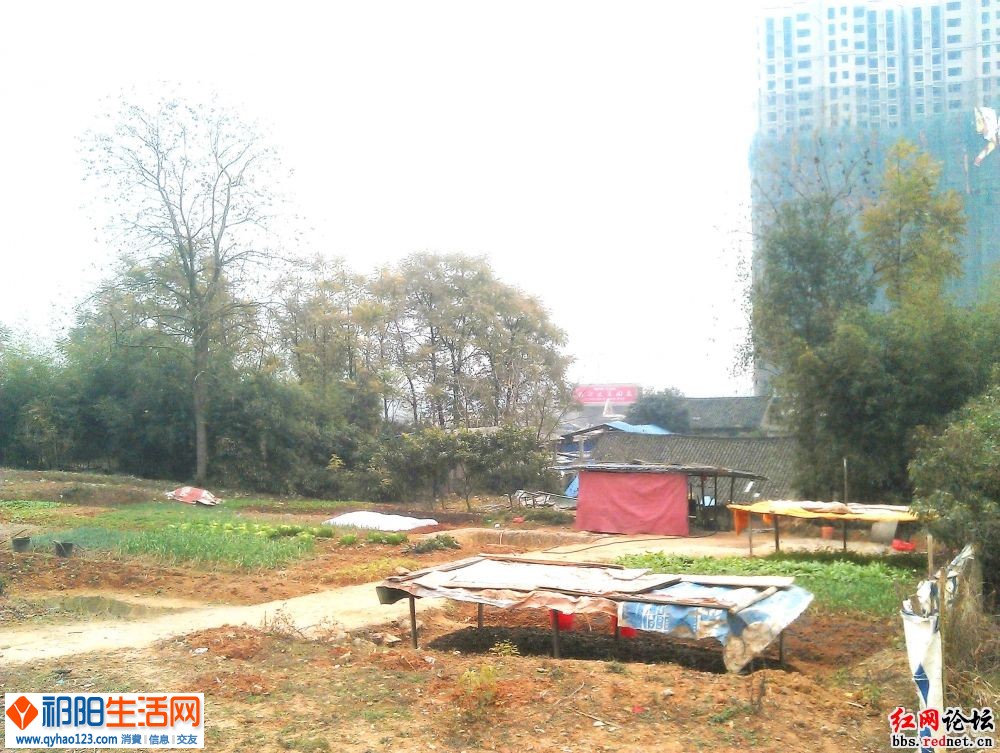 131507vxzjtlrjji2c9cq5_jpg_thumb.jpg