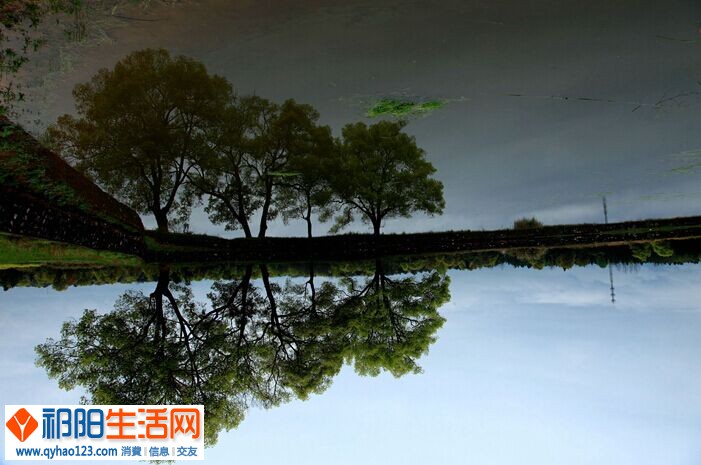 QQ图片20150324220248.jpg