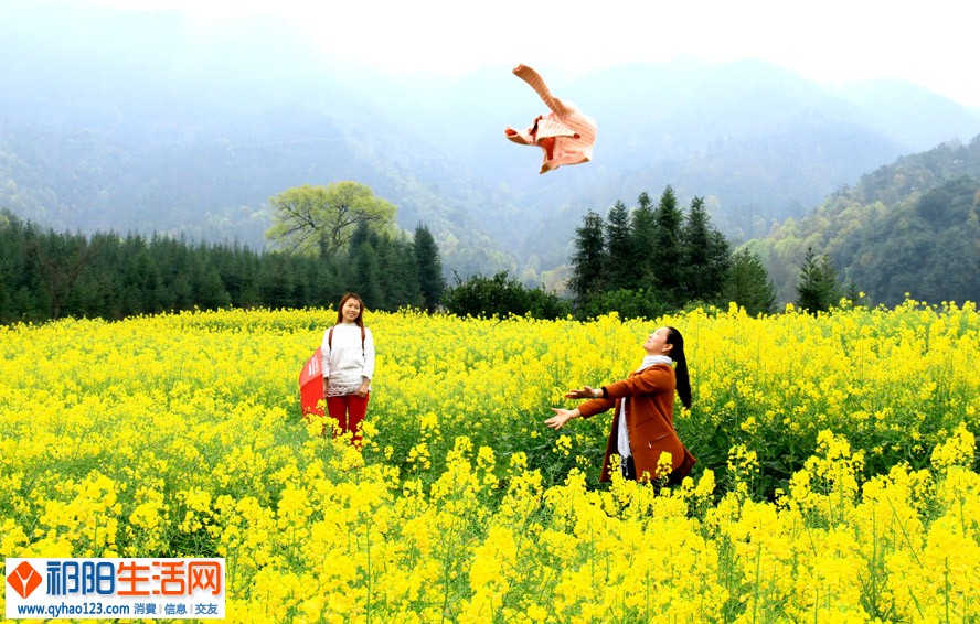 12.鹤舞春光.jpg
