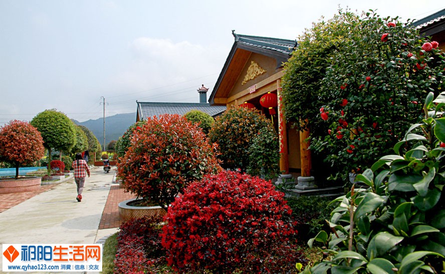 13.花簇锦绣.jpg