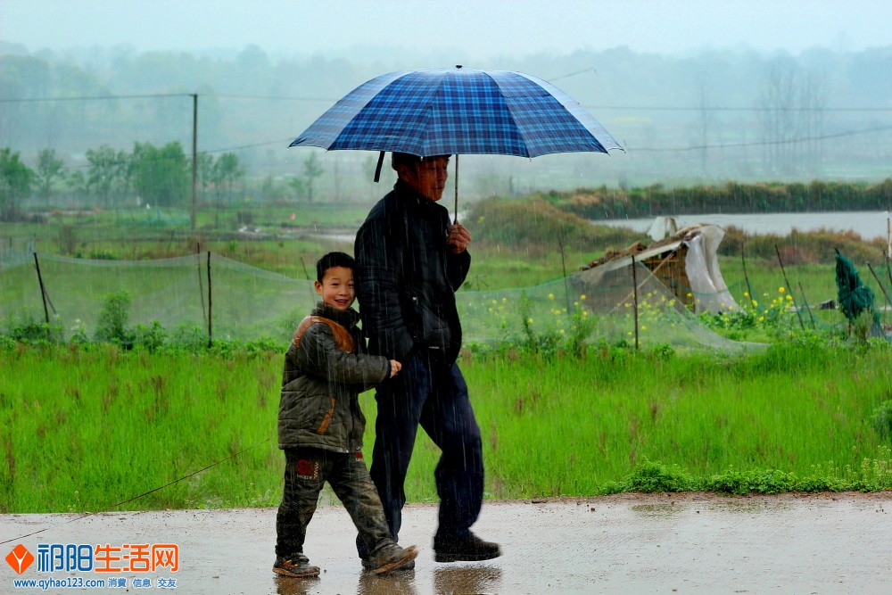 三月里的小雨-1.jpg