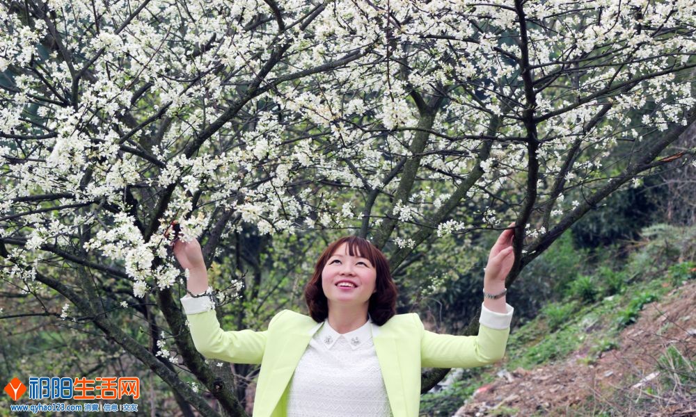 梦里梨花白