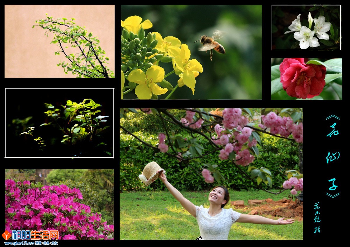 花仙子《花仙子》二等奖.jpg