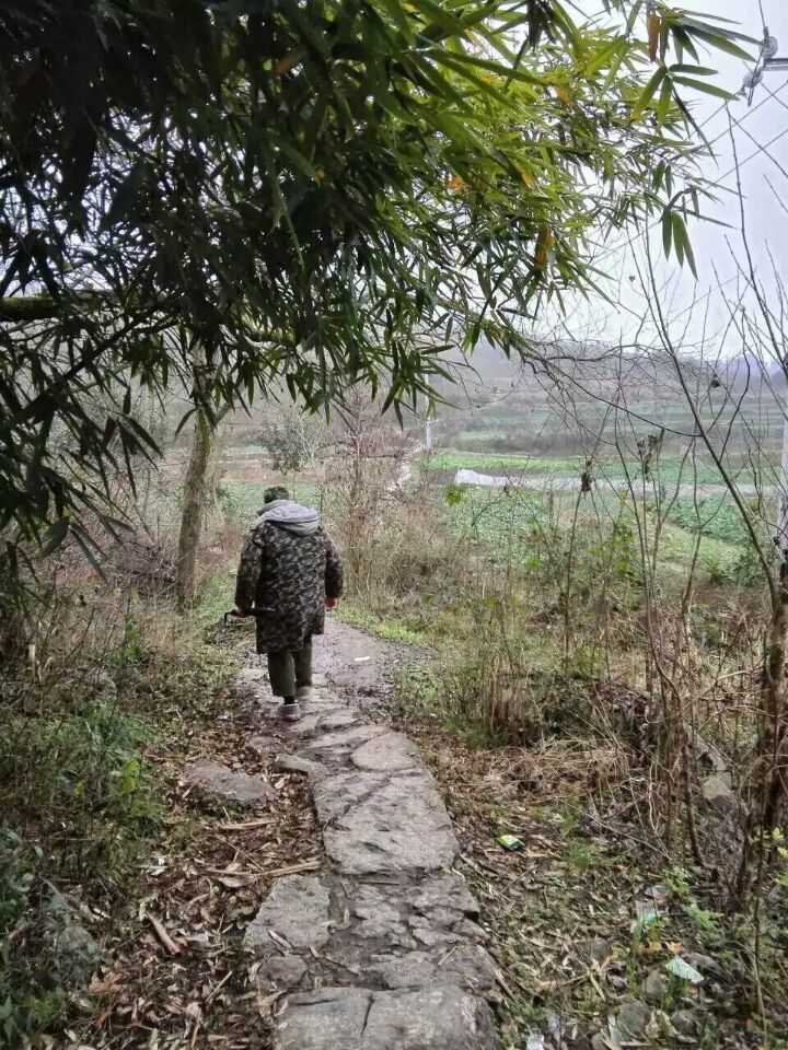 QQ图片20160117101738.jpg