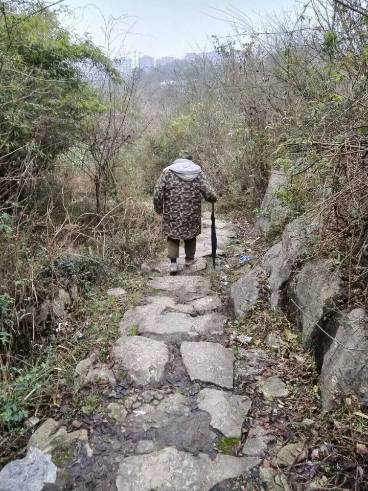 QQ图片20160117101755.jpg