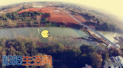 u=427317290,1622790248&amp;fm=21&amp;gp=0.jpg