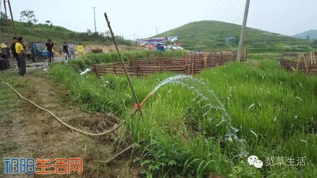 20160701_104038_000.jpg