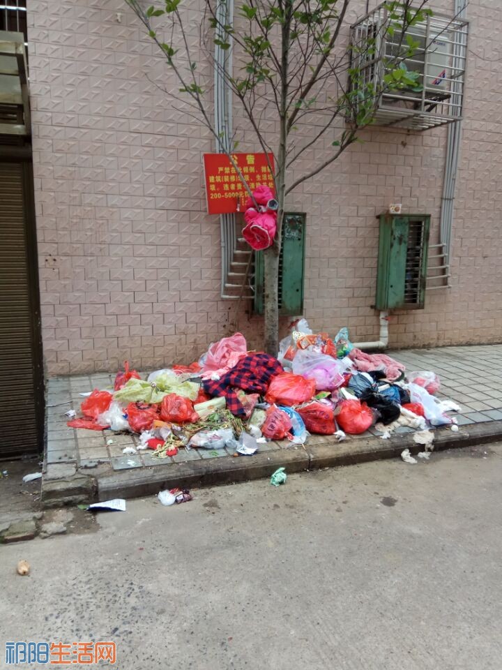 QQ图片20170524151917.jpg