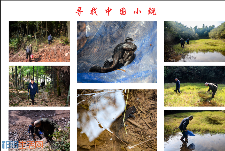 QQ图片20170526224630.png