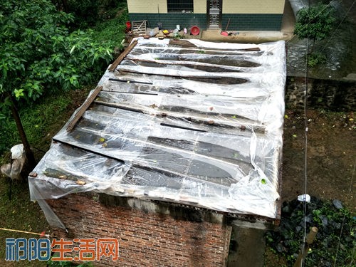 IMG20170606131226_副本.jpg