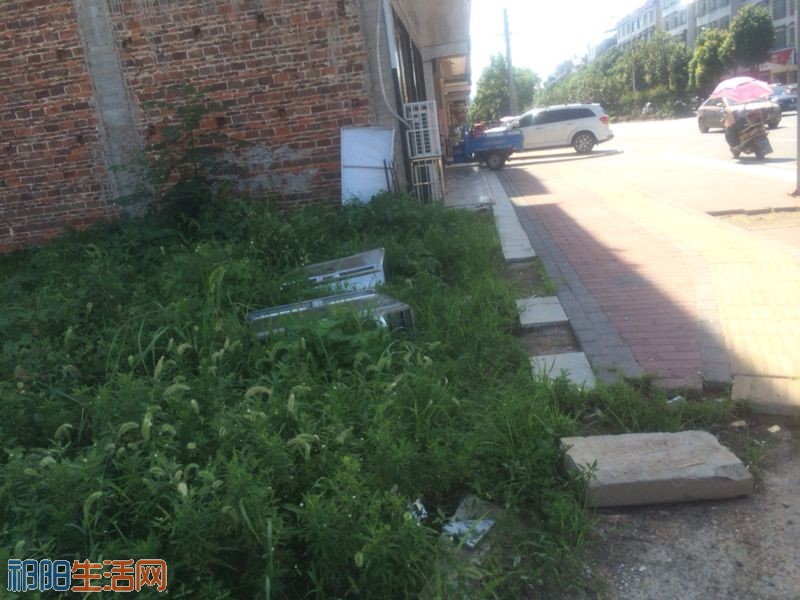 0323Gu4s129m.jpg
