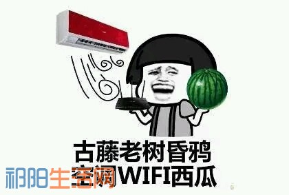 g38G1xJJds3N.jpg