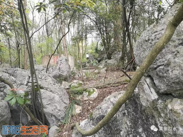 微信图片_20170818093529.jpg