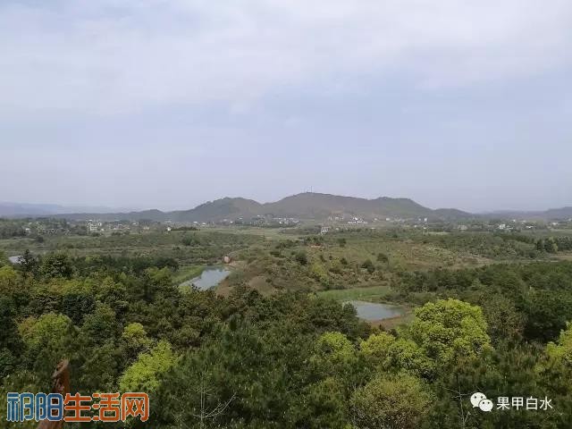 微信图片_20170818093540.jpg