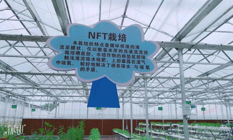 mmexport1507512971587.jpeg